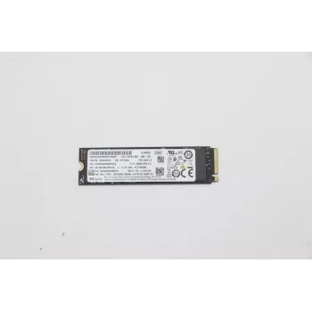 Lenovo 5SS0V26441 εσωτερικός solid-state δίσκος 256 GB M.2 PCI Express 3.0