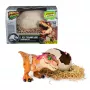 Jurassic World Primal Hatch διαδραστικό παιχνίδι-δεινόσαυρος & αυγό, εκκόλαψη & εκπαίδευση του δικού σου μωρού δεινόσαυρου με πάνω από 100 ήχους & αντιδράσεις, παιδικό παιχνίδι για αγόρια & κορίτσια από 5 ετών
