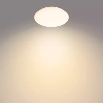 Φωτιστικό οροφής Philips Functional Moire 10 W, LED, σταθερά ενσωματωμένος λαμπτήρας, 2700 K, 1000 lm, IP20, λευκό