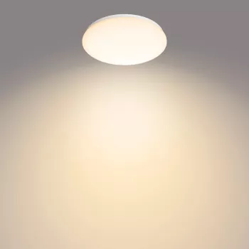 Φωτιστικό οροφής Philips Functional, LED, μη αντικαταστάσιμος λαμπτήρας, 2700 K, 1700 lm, IP20, λευκό