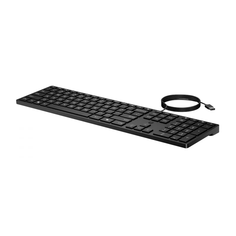 HP Wired Desktop 320K Πληκτρολόγιο Full-Size USB Μεμβράνης Μαύρο