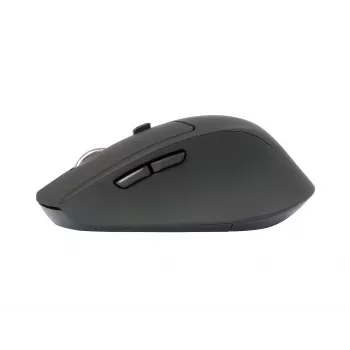 Conceptronic LORCAN02B Ergo Ποντίκι γραφείου Δεξιόχειρας Bluetooth Οπτικό 1600 DPI
