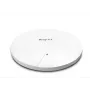 DrayTek Vigor AP1062C WLAN-AX MESH Outdoor AP PoE (χωρίς τροφοδοτικό) (vAP1062c-DE-AT-CH)