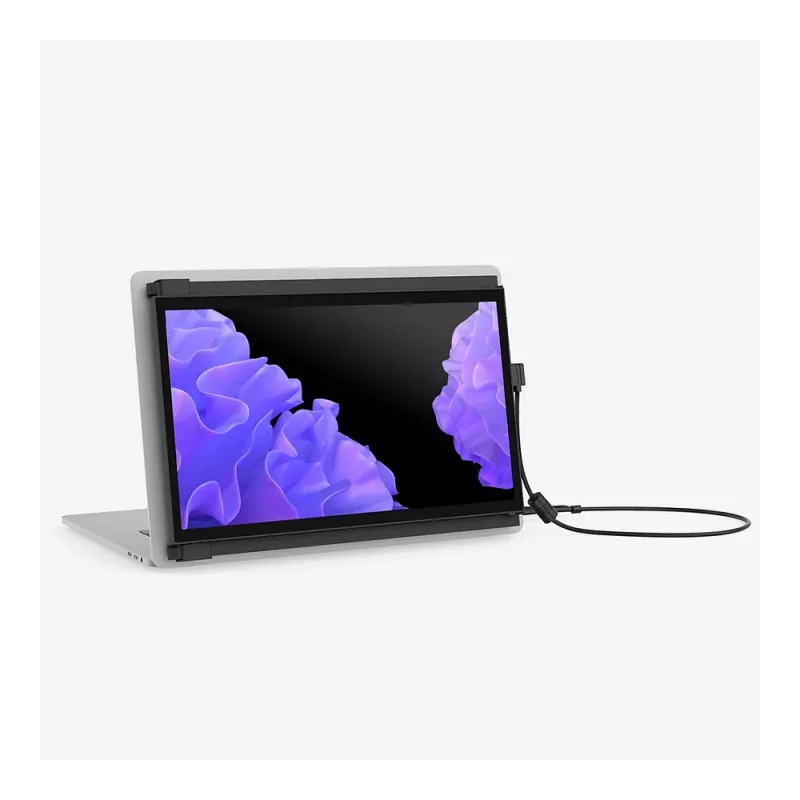 Οθόνη Mobile Pixels 101-1006P04