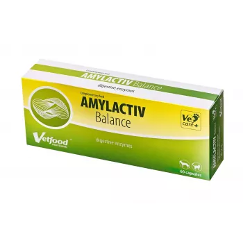 Vetfood Amylactiv Balance Υποστήριξη πέψης για σκύλους και γάτες 60 κάψουλες