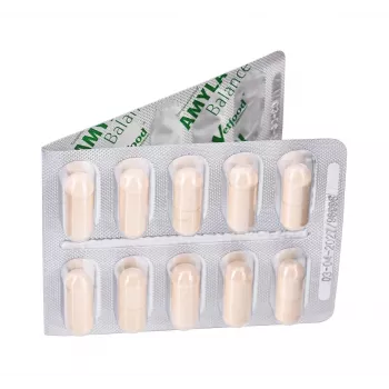 Vetfood Amylactiv Balance Υποστήριξη πέψης για σκύλους και γάτες 60 κάψουλες
