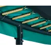 Trampolina Salta First Class 251 cm πράσινο