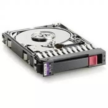 300GB 10K SAS 2,5 inch DP