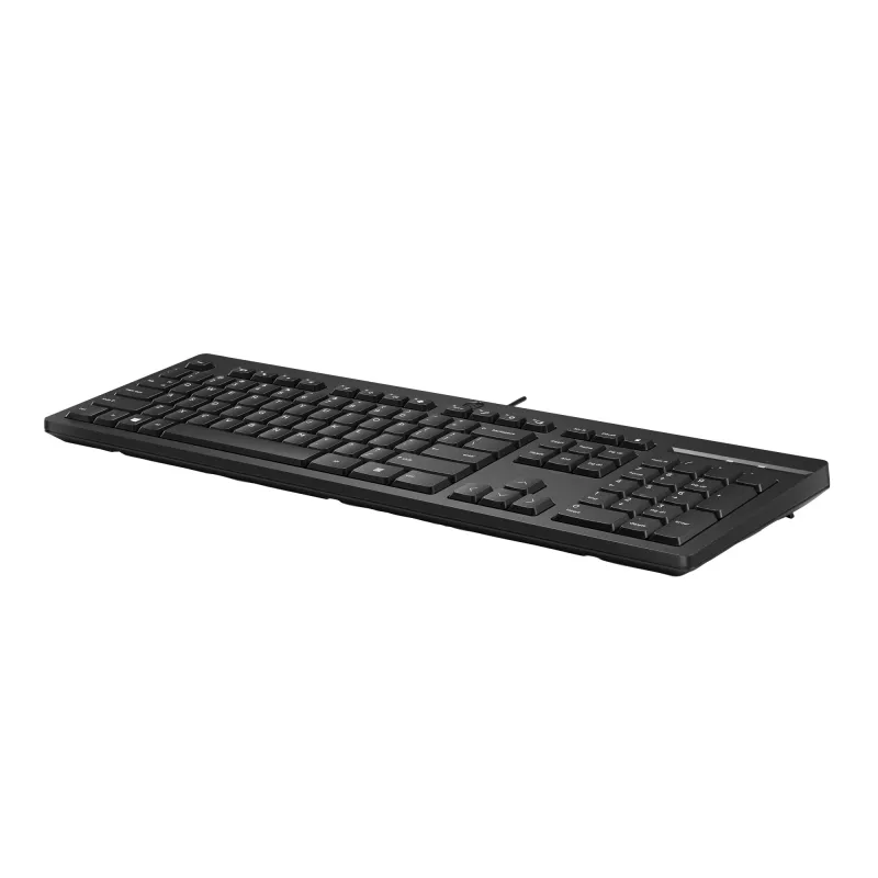 HP 125 ενσύρματο πληκτρολόγιο Full-Size USB μεμβράνης Μαύρο