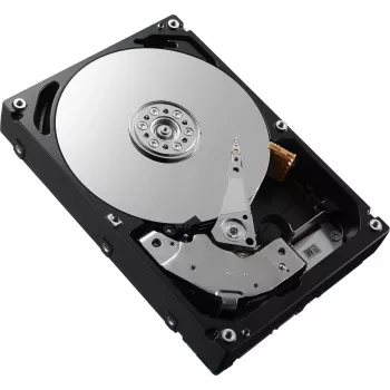 DELL W125827144 Εσωτερικός σκληρός δίσκος 2,5 ίντσες 300 GB SAS (W125827144)