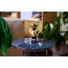 LEGO Star Wars 75438 Προτομή Yoda
