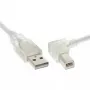Καλώδιο USB 2.0 InLine Type-A (γωνιακό) σε Type-B αρσενικό, 0,3 m, διαφανές