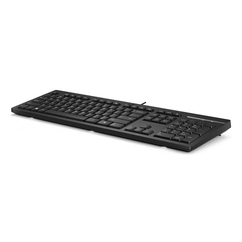 HP 125 Ενσύρματο Πληκτρολόγιο Full-Size USB Μεμβράνη Μαύρο
