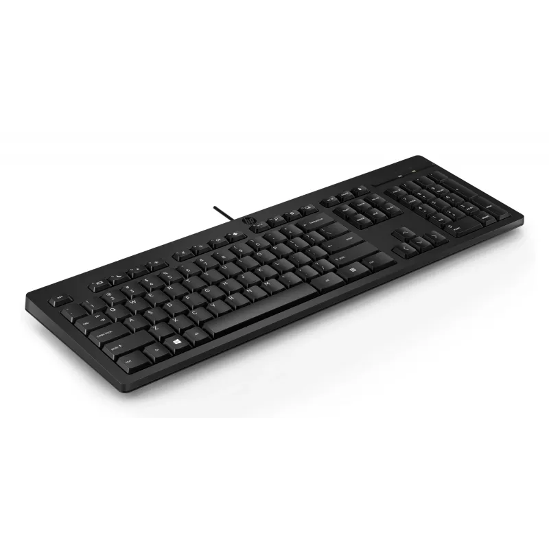 HP 125 Ενσύρματο Πληκτρολόγιο Full-Size USB Μεμβράνη Μαύρο
