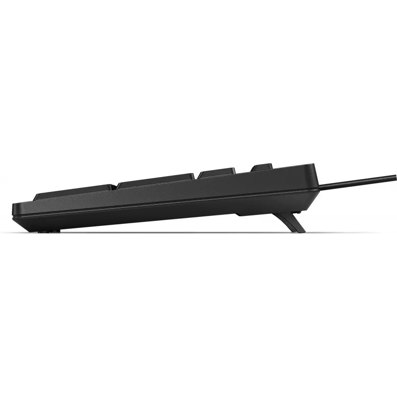 HP 125 Ενσύρματο Πληκτρολόγιο Full-Size USB Μεμβράνη Μαύρο