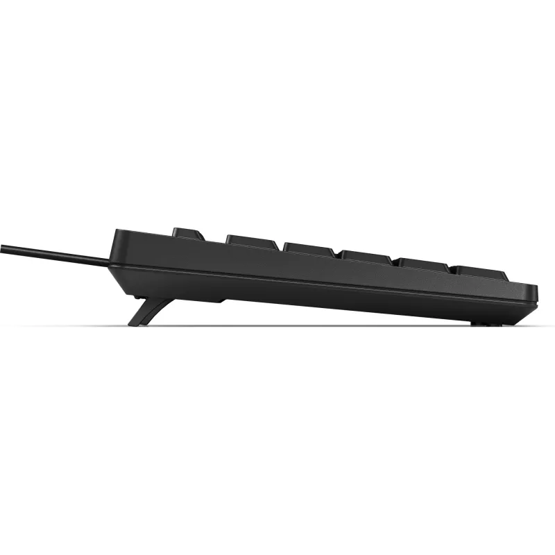 HP 125 Ενσύρματο Πληκτρολόγιο Full-Size USB Μεμβράνη Μαύρο