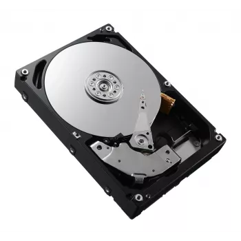 DELL 161-BCFV Εσωτερικός σκληρός δίσκος 2,4 TB 10000 U/min 2,5 ίντσες SAS