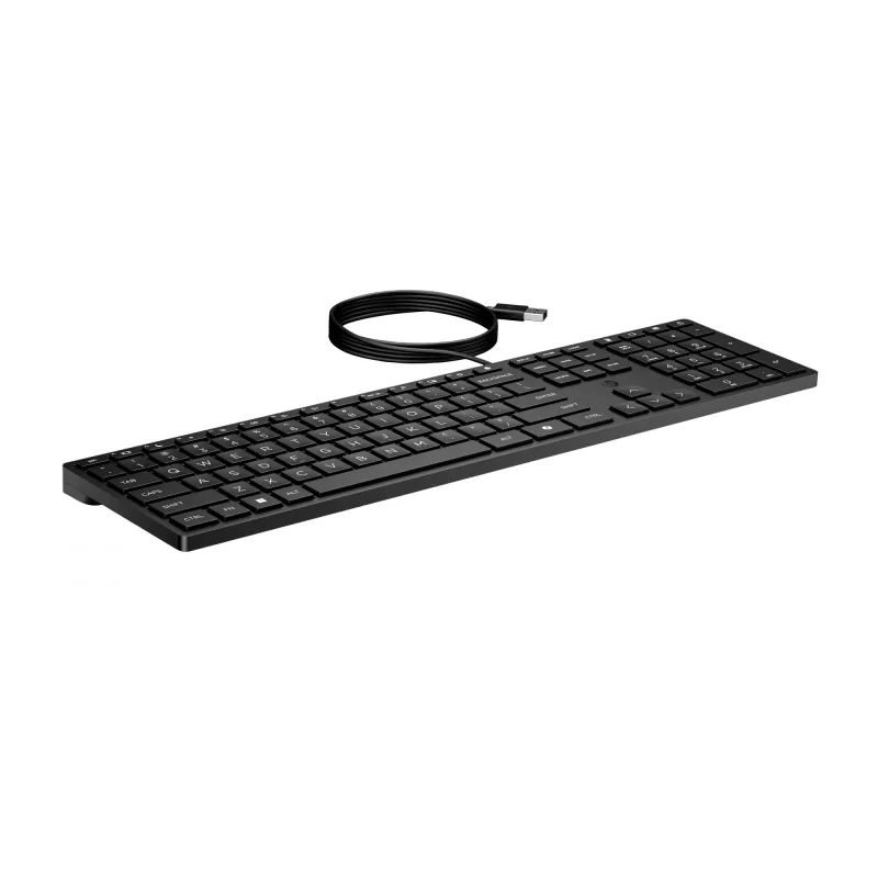 HP Wired Desktop 320K πληκτρολόγιο Full-Size USB Membrane μαύρο