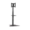 Chief PF1UB Βάση οθόνης / Στήριγμα 190,5 cm (75 ίντσες) Δάπεδο Μαύρο
