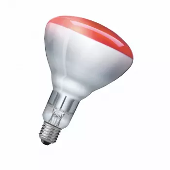 Λαμπτήρας υπερύθρων Philips 923212043801 250 W 5000 h 230-250 V