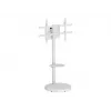 TECHLY βάση δαπέδου με ράφι για LCD/LED/Plasma TV 37-86 ίντσες Λευκό