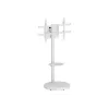 TECHLY βάση δαπέδου με ράφι για LCD/LED/Plasma TV 37-86 ίντσες Λευκό