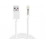SANDBERG 440-94 Καλώδιο SANDBERG USB>Lightning 2M Πιστοποιημένο από Apple