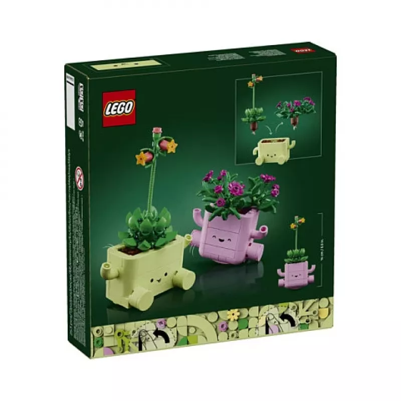 11506 Botanicals Ταλαντευόμενα φυτά (1.4.)