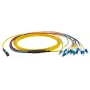 Καλώδιο οπτικών ινών EFB Elektronik MTPF12LCOS2-1 1m