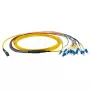 Καλώδιο οπτικών ινών EFB Elektronik MTPF12LCOS2-2