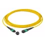 Καλώδιο οπτικών ινών EFB Elektronik MTPF12MTPFOS2-1