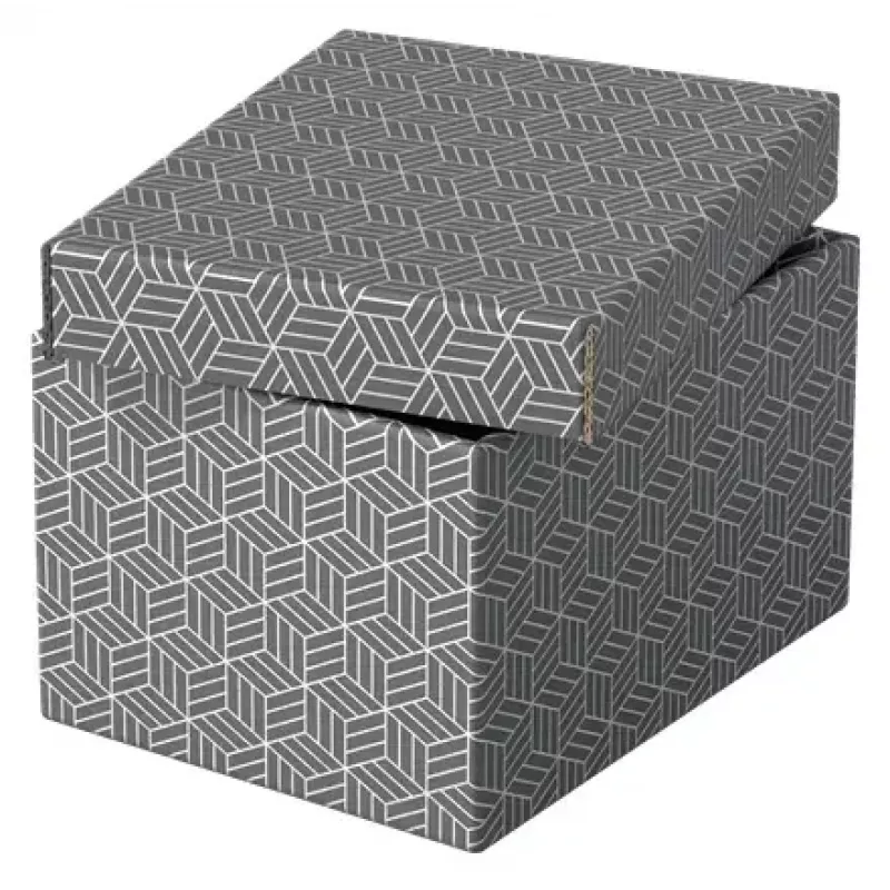 Κουτί αποθήκευσης Esselte 628281 γκρι ορθογώνιο 200x255x150 mm