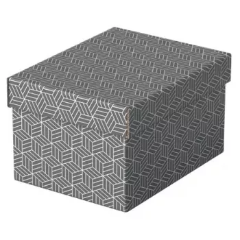 Κουτί αποθήκευσης Esselte 628281 γκρι ορθογώνιο 200x255x150 mm