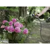 Λάστιχο Kärcher Performance Premium 1/2 ίντσες-50m