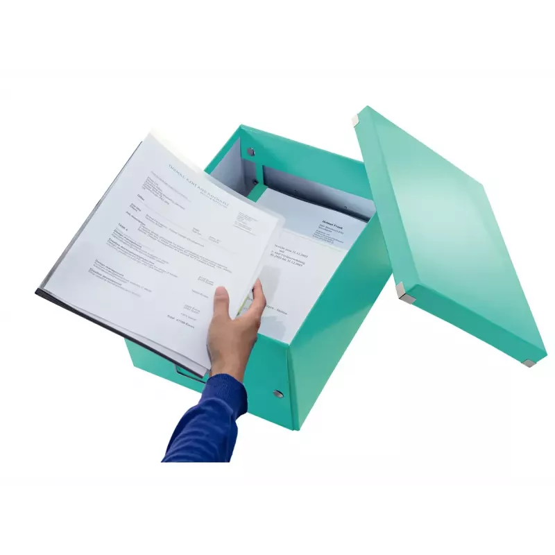 Κουτί αποθήκευσης Leitz Click & Store Medium Box