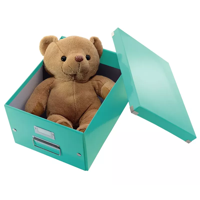 Κουτί αποθήκευσης Leitz Click & Store Medium Box