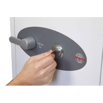 Ελεύθερο χρηματοκιβώτιο Phoenix Safe Co. FS1282K