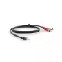 Καλώδιο ήχου Kramer Electronics C-A35M/2RAM-6 1,8 m 3,5 mm 2xRCA μαύρο