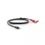 Καλώδιο ήχου Kramer Electronics C-A35M/2RAM-35 10,7 m 3,5 mm 2xRCA μαύρο
