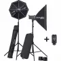 Σετ φλας στούντιο Elinchrom D-Lite RX 4/4 To Go (EL-20839)