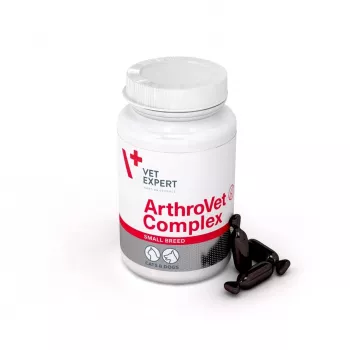 VETEXPERT ArthroVet Collagen Small breed - Συμπλήρωμα διατροφής για σκύλους και γάτες - 60 δισκία