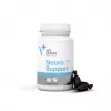 VetExpert NeuroSupport 45 κάψουλες.