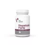 VetExpert Hepatiale Forte Large Breed 40 δισκία.