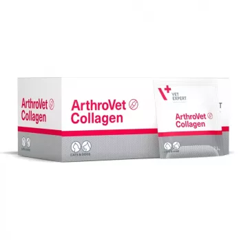VETEXPERT ArthroVet Collagen - Συμπλήρωμα διατροφής για σκύλους και γάτες - 60 φακελάκια