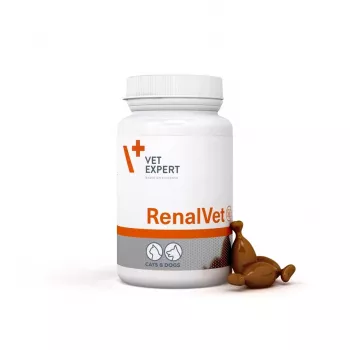 VetExpert RenalVet 60 κάψουλες.