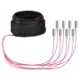 EFB Trunk Καλώδιο U-DQ(ZN)BH OM4 8G (1x8) SC-SC 20m Dca LSZH