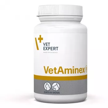 VetExpert VetAminex 60 Κάψουλες.