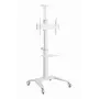 Βάση TV βάση δαπέδου 37-70/WEISS TVS-70T-02-W Gembird