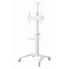 Βάση TV βάση δαπέδου 37-70/WEISS TVS-70T-02-W Gembird