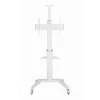 Βάση TV βάση δαπέδου 37-70/WEISS TVS-70T-02-W Gembird